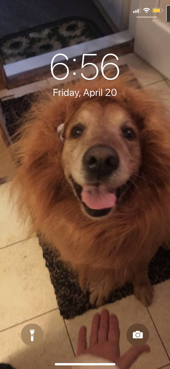 Wertz Capital (WertzCapital) Twitter