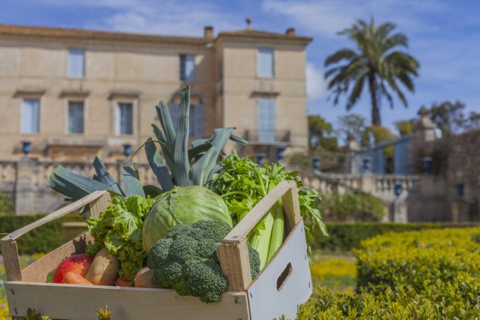 TenenbaumDamien's tweet photo. Ce soir à Montpellier, c'est #permaculture : @OasisCitadine lance sa ferme urbaine collaborative https://t.co/byXaGTBrfH #AgroEcologie #FarmLab https://t.co/HiC9tZR3kV