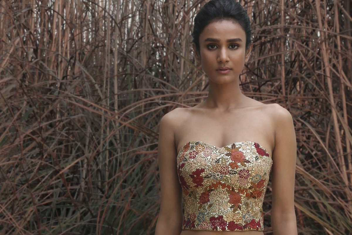 A sequins encrusted corset &amp; tulle lehenga featuring a melange of motifs - Birds of Paradise,dancing peacocks,Mughal paisleys,Moroccan jaalis, floral bursts derived from vintage Pichwai textiles,rendered in hand crafted dori &amp; silk floss thread embroidery over the sequins ground