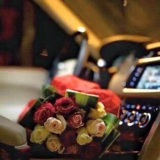 🎻

قلي مساء الخير واحس بالخير
انا المساء اللي لقى فيك ضيه 
.
#مسساء_الورد 🌷