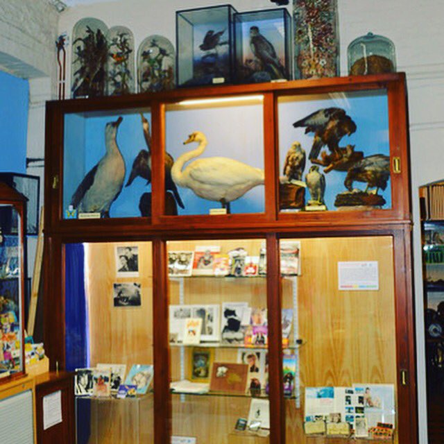 Between watching all the amazing films at the festival today why not pop into Ilfracombe Museum to see their latest exhibition from <a href="/bdcmuseum/">Bill Douglas Museum</a> with film memorabilia linked to the festival #ilfracombefilmfestival #ilffilmfest #marilynmonroe #warfilms #suffragetes #goodfilmstosea