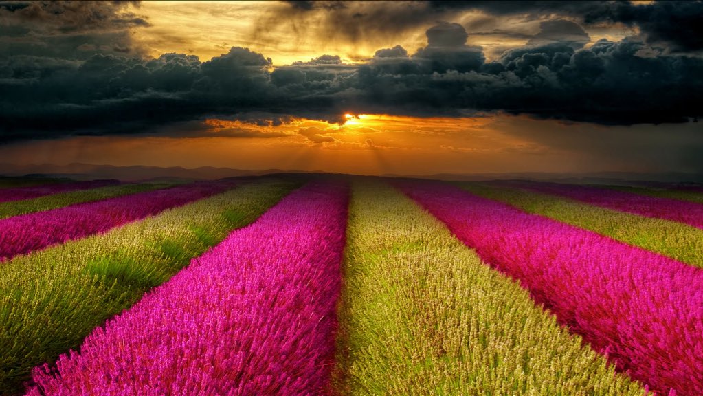 You give life to what you give energy to…

© nikos Bantouvakis