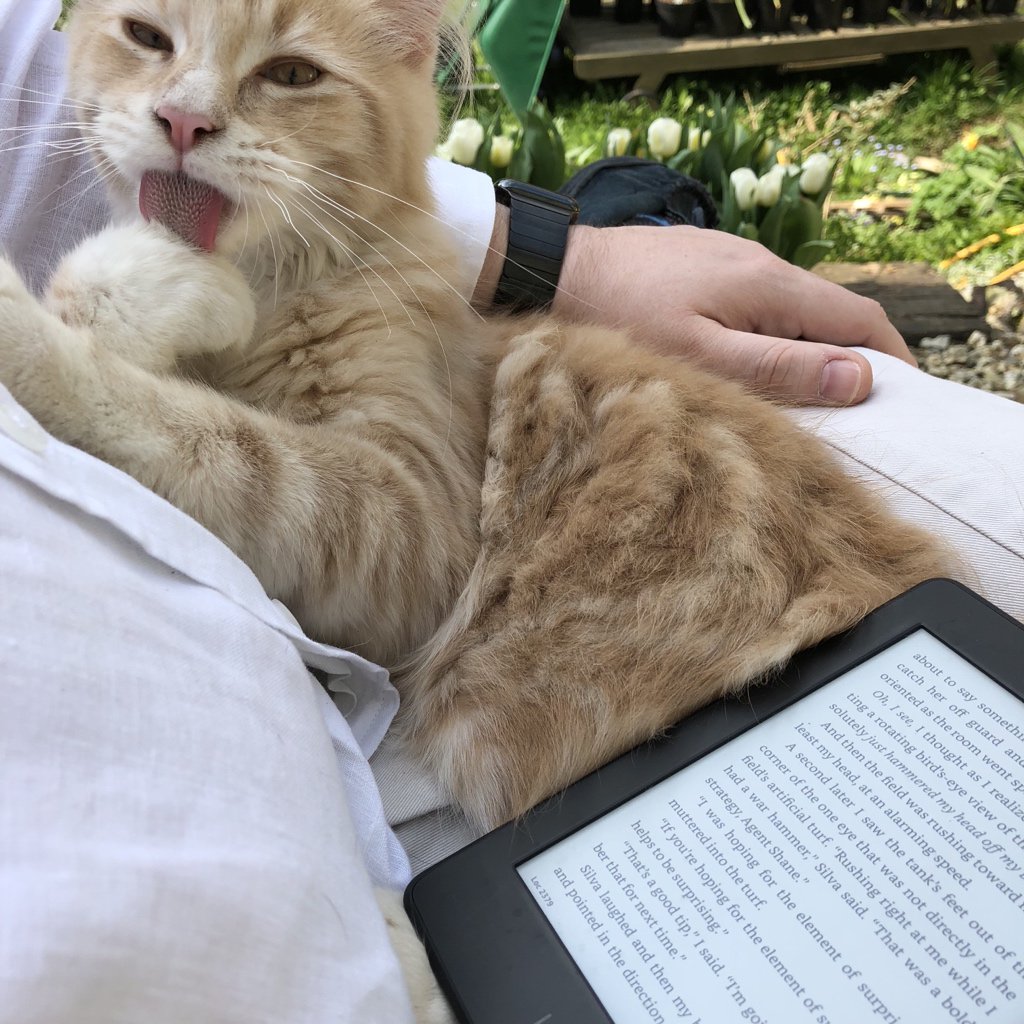 hdurdle's tweet photo. Recommended serving suggestion for enjoying @scalzi’s #HeadOn: outdoors, with kitten. https://t.co/skjB4lc58R
