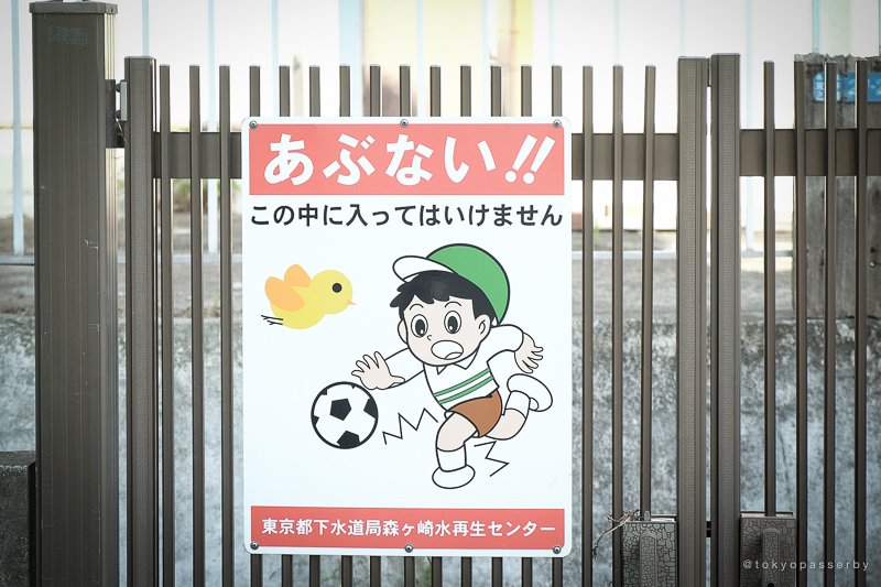 O Xrhsths Ani Sto Twitter これは ほれみたことか あの時俺の忠告を無視したから と言っているようですねトリ