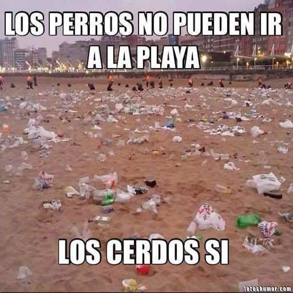 🔴FOTO DENÚNCIA🔴 Estem farts d’anar a les platges de lleida i trobar-nos això. <a href="/veins_stesteve/">Assoc. Veïnal De St.Esteve De Les Roures</a> . No es possible que una mascota se la privi d’anar a la platja i després els porcs i els humans escampen merda. Presentem denúncia a <a href="/JutjatStERoures/">Jutjats de Sant Esteve dels Roures</a> <a href="/mossos_SER/">Mossos Sant Esteve de les Roures</a> <a href="/st_esteveroures/">Ajuntament de Sant Esteve de les Roures</a>