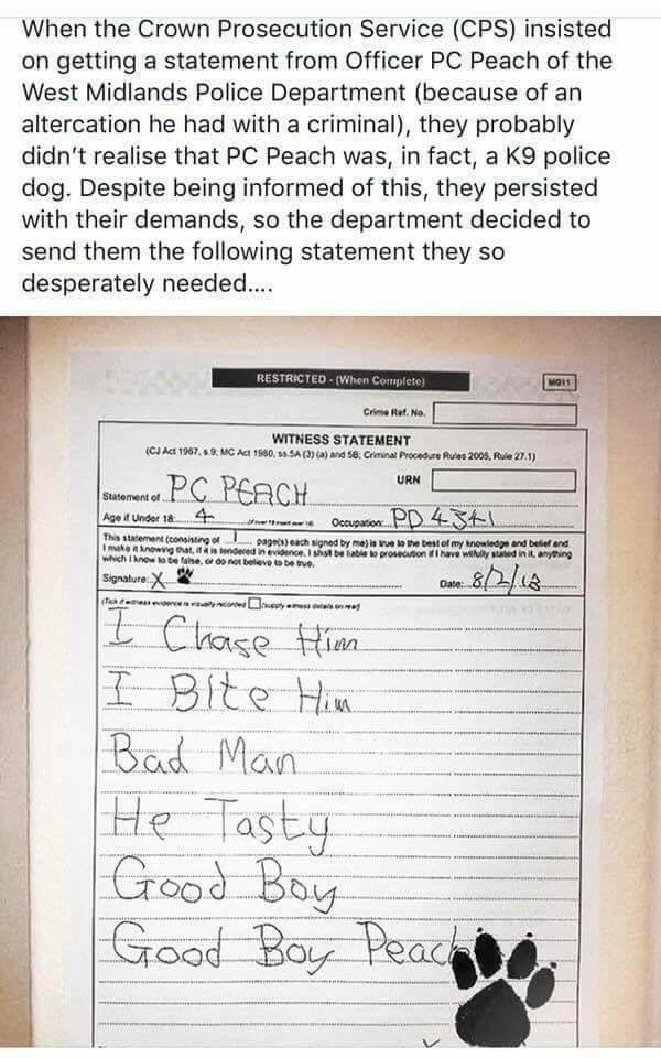 PadraigBelton's tweet image. Amazingly, according to Snopes, this is real.