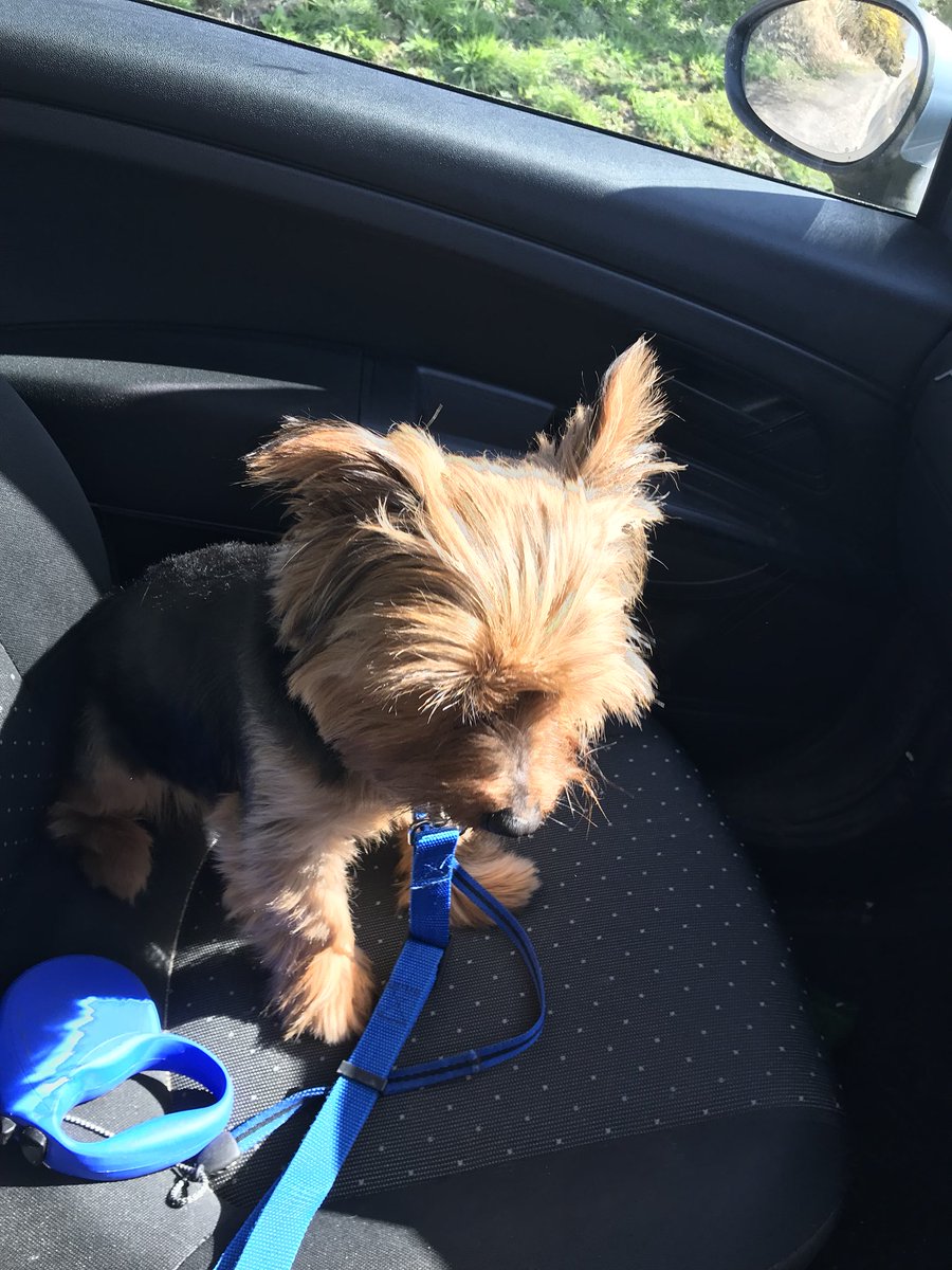 KellyCh5's tweet image. Patiently waiting to get into the dump!! 😳😳🙈😂 #sameideas