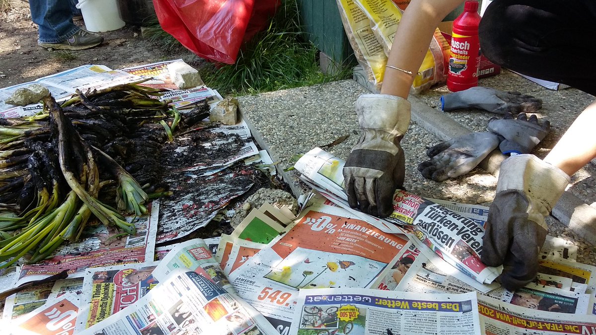 Això va prenent forma... Es wird langsam... 
#Calçotada #Katalonien #LlibertatPresosPolitics