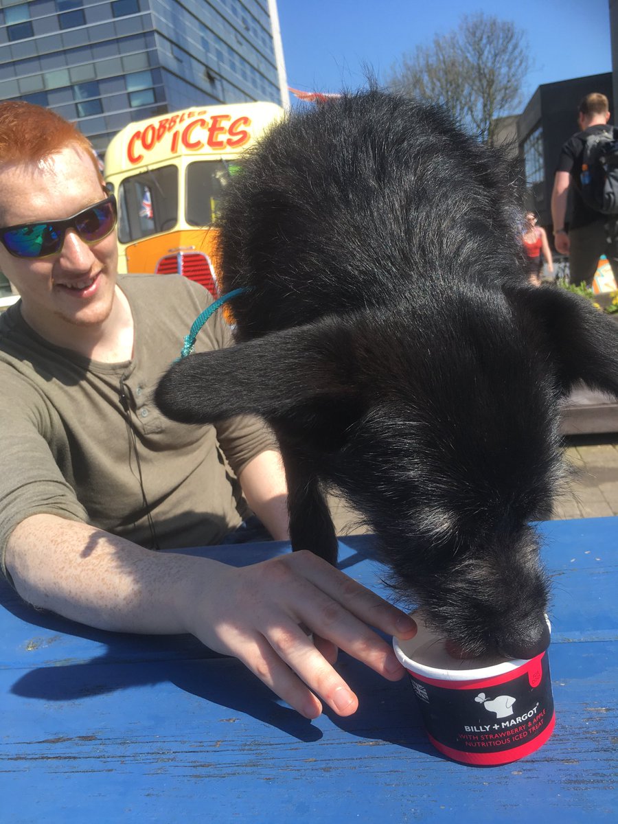Cobbles Ices (@cobblesices) on Twitter photo <a href="/cobblesices/">Cobbles Ices</a> now sell doggy ice cream and as.you can see it’s going down a treat #ilovemydog #doggy #Cobblesices #Plymouth <a href="/cobblesices/">Cobbles Ices</a> now sell doggy ice cream and as.you can see it’s going down a treat #ilovemydog #doggy #Cobblesices #Plymouth