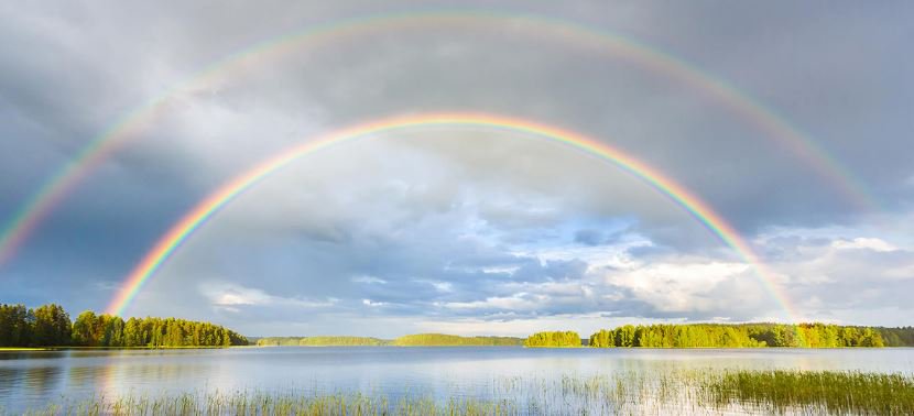 dorisandboris's tweet photo. 5 Environmental Victories to Inspire You This Earth Day
https://t.co/dv7E0a69Io
#EarthDay2018 #Vintage #Vintagelife #Vintagelifestyle #Retro #Upcycling https://t.co/XK4rVSHjJu