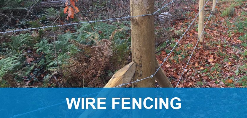 We stock a wide mix of wire fencing products to suit varying needs. Our ranges include chicken wire, rabbit netting, barbed wire, stock fencing, novaplex, electric fencing plus much more. Shop the full range here: ringwoodfencing.co.uk/products/wire-… #Fencing #WireFencing #Cheshire #Chester