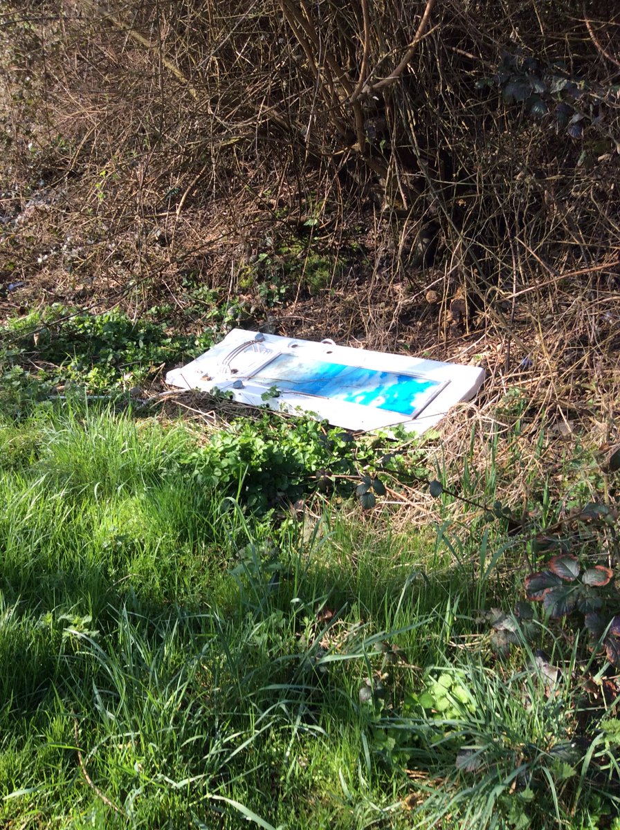 annwallace165's tweet photo. @bradfordmdc  as you can see still a problem nothing has been done. https://t.co/ETHRMfN2bD