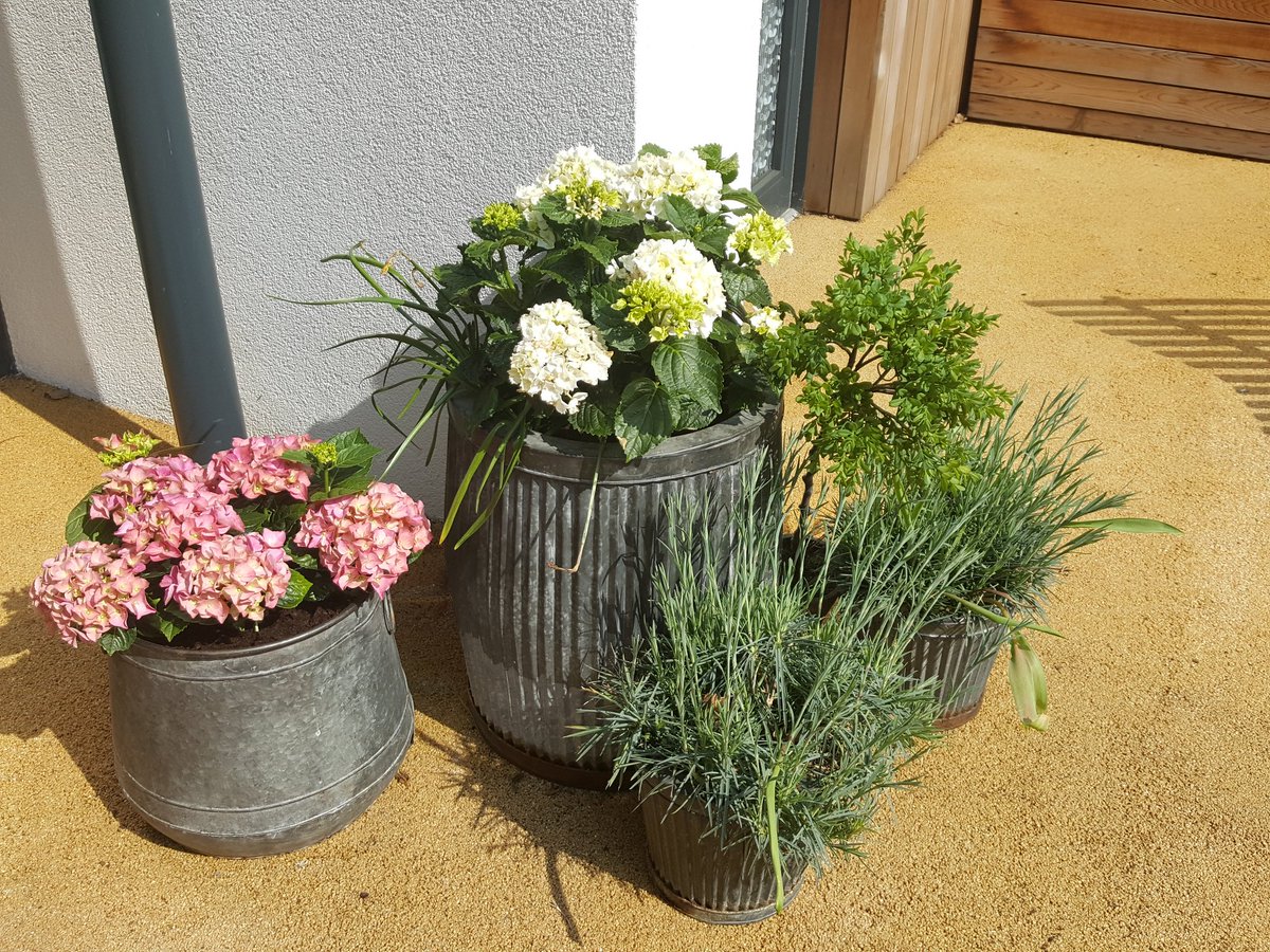 Nature soothes. Our garden is an important space that offers comfort <a href="/nickifitz/">Nicki Fitzmaurice</a> <a href="/tasminbutt1/">Tasmin Butt</a> <a href="/claireloumooney/">Claire Mooney</a> <a href="/BWC_NHS/">BWC NHS Trust</a> @DianeMaybey