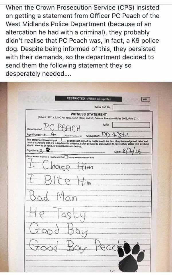 This should put a smile on the face of everyone who's ex-job, or who's still in the job, or who just hates bureaucracy and loves a laugh. #policedogs #police
