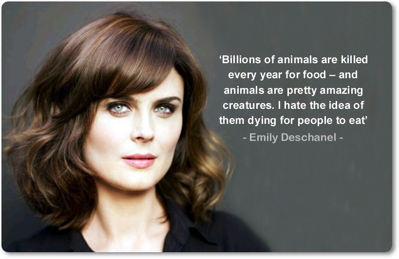 veganfuture's tweet photo. 'Billions of animals are killed every year for food – and animals are pretty amazing creatures. I hate the idea of them dying for people to eat' ~ Emily Deschanel #GoVegan https://t.co/pbAouk592i