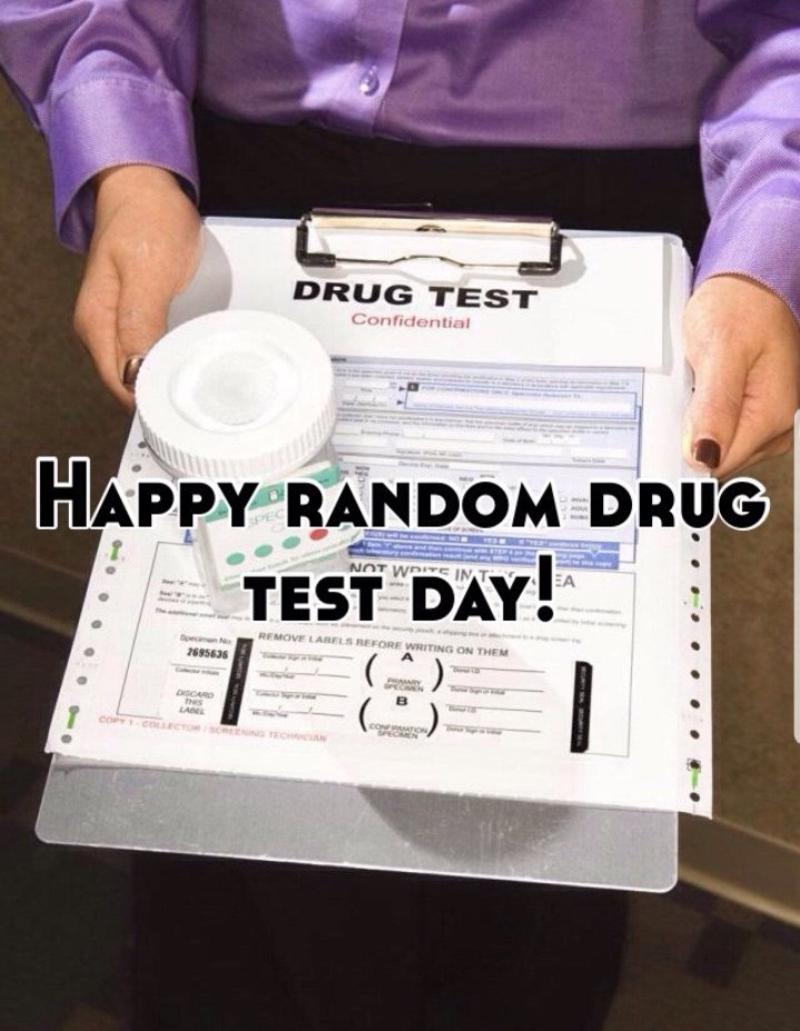 overview for Vealpastry