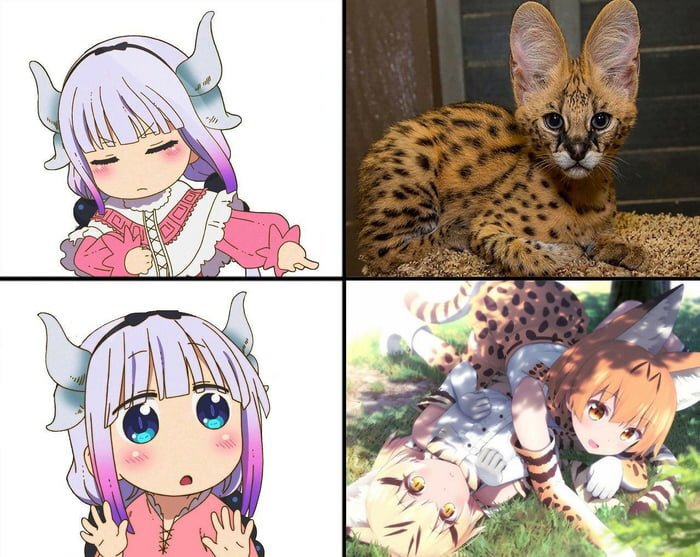 DbTOhVsUQAAg5IM.jpg:large