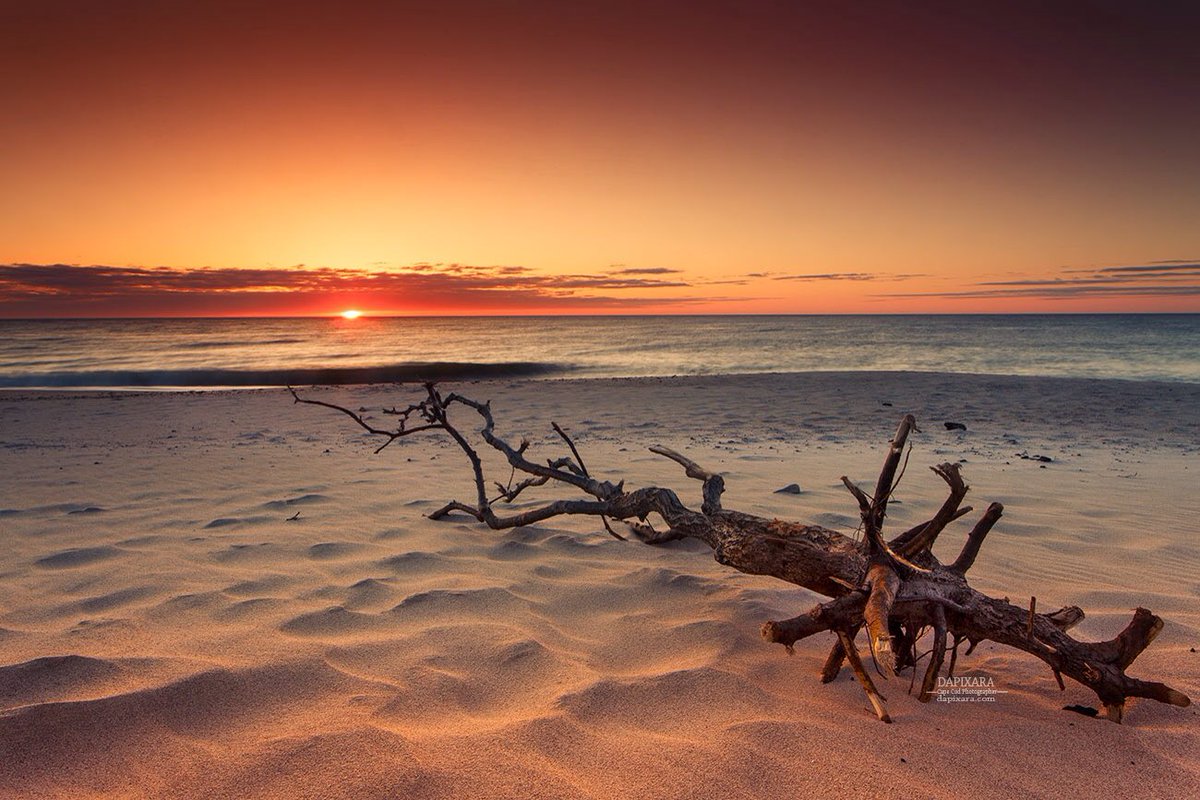 dapixara's tweet image. Today's unbelievable Ocean sunrise at Nauset beach in Orleans, Cape Cod. #StormHour #capecod