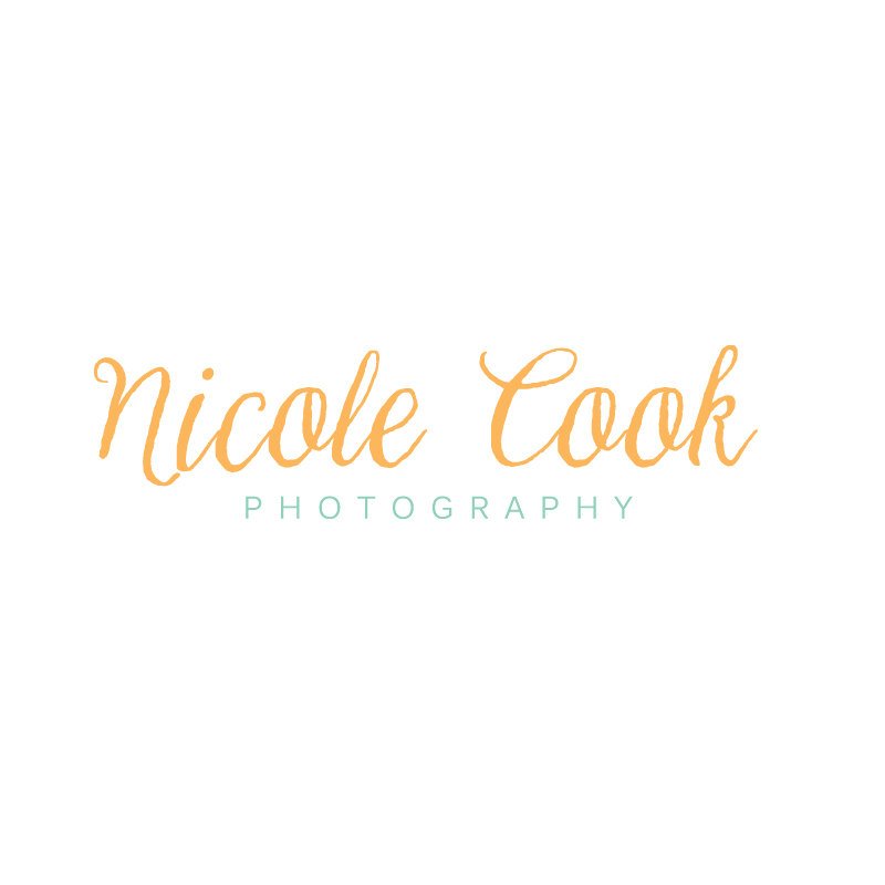 Logo2Design's tweet photo. Typography Logo - Minimalist Logo - Premade Calligraphy Logo - Feminine Logo -Script Logo https://t.co/6vS6HOp958 #sewing #logo #knitting #photography #branding #graphic #customlogo #Etsy #premade logo #WatermarkDesign https://t.co/xU0KPIrgKv