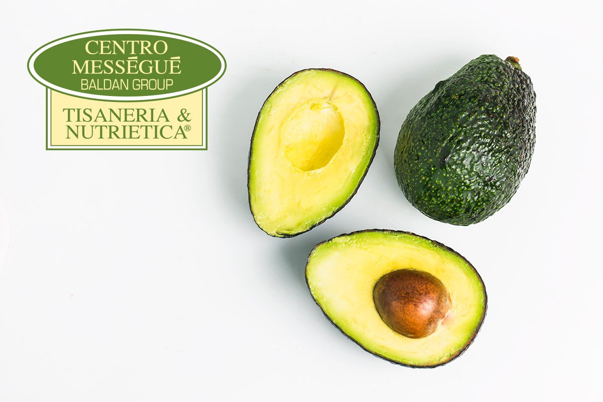 MessegueSpain's tweet photo. ¿Sabes que el aguacate, en consumo moderado, ayuda a adelgazar?

 #aguacate #beneficiosaguacate #advocado #tips #consejos #consejosadelgazar #beauty #centromessegue https://t.co/Icc2z7WEfU