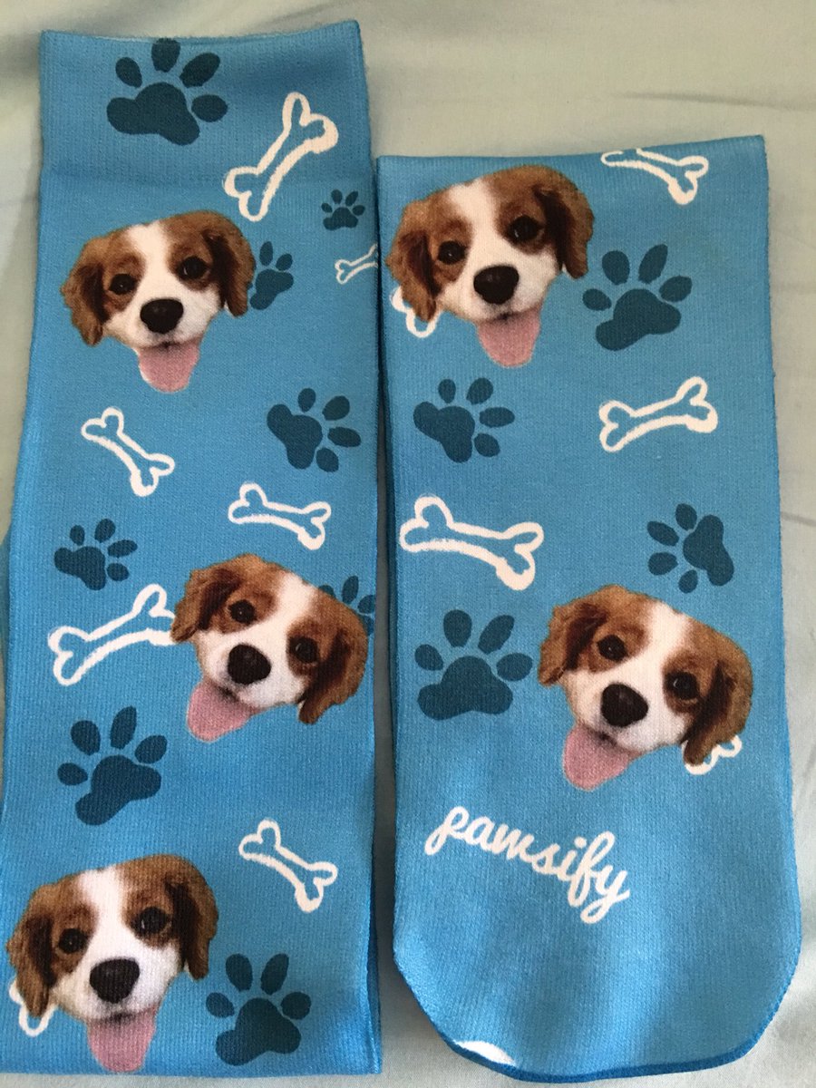 JoClark01's tweet photo. . @petownershub LOVE these fab socks with Bailey on! ๐ถ๐๐๐งฆ๐งฆ Thank you!! xx #Pawsify #dogsoftwitter #dogs #gifts #doglove #doggifts #socks #animallover #doglovers #dogwalker #dogowners https://t.co/ygE1gHvONa