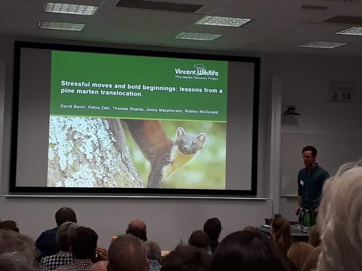 Mammal_Society's tweet photo. Keeping to the pine marten theme, @TheVelvetClaw @vincentwildlife explains that personalities of pine martens may affect translocation success and the resulting population. #mssc2018 https://t.co/Cv5RYQOFB9