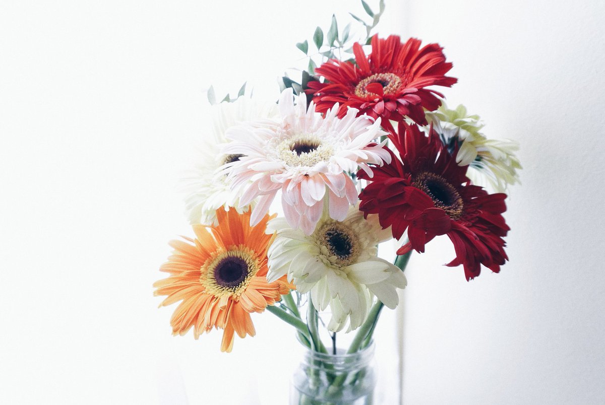 KateAn_KateAn's tweet photo. Stop and sniff the flowers...
#katean #blog #inspiration #ideas #inspiration #makeup #colour #favourites #style #streetstyle #cosy #coffee #blogger #blog #fashion #nature #travel #instagram #landscape #photography #photo #insta #flower #sun #girlpower #girl #boss https://t.co/eho3KKoCTn