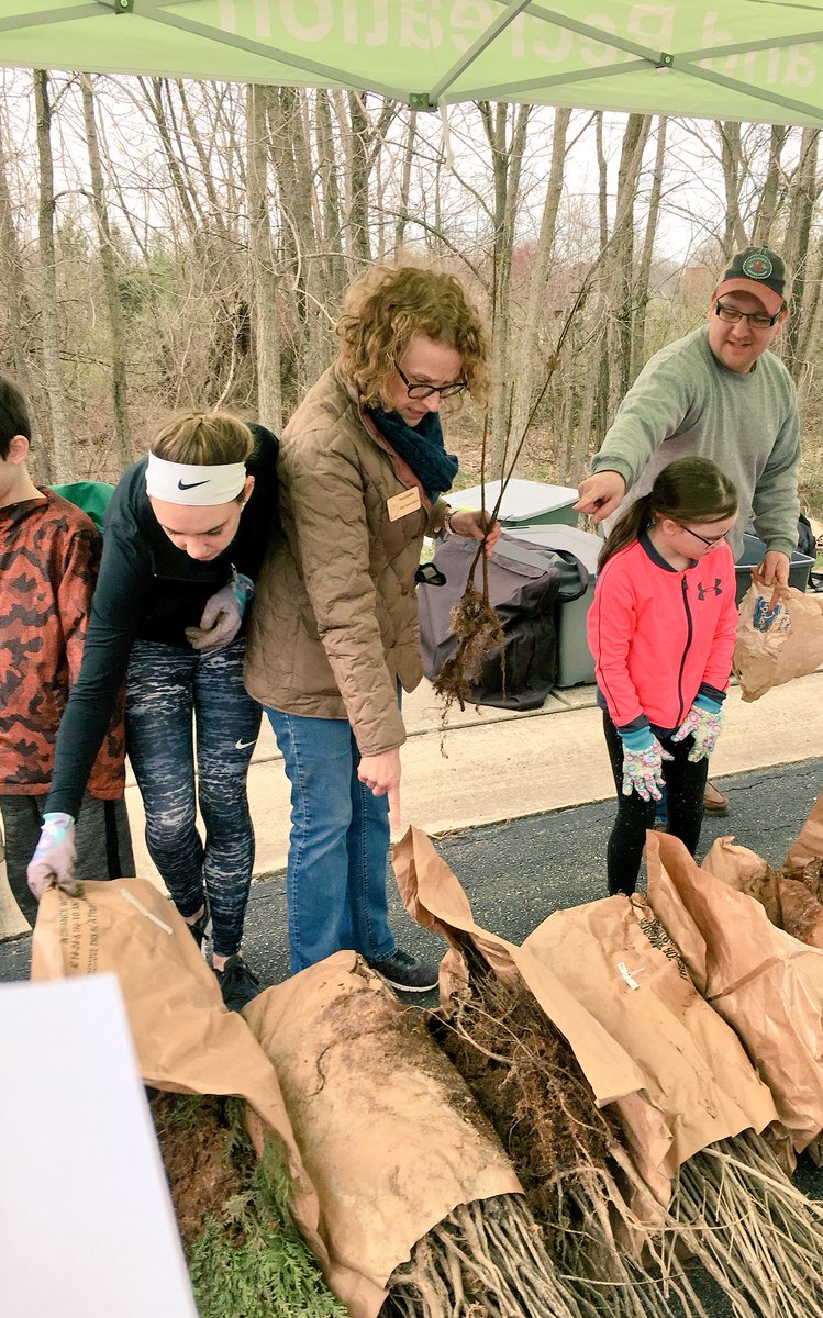 a_feaster's tweet photo. Yes, that’s Representative Donna Schaibley gathering my trees for me! Welcome home, redbud and sugar maple. https://t.co/4Jo23eY9U0
