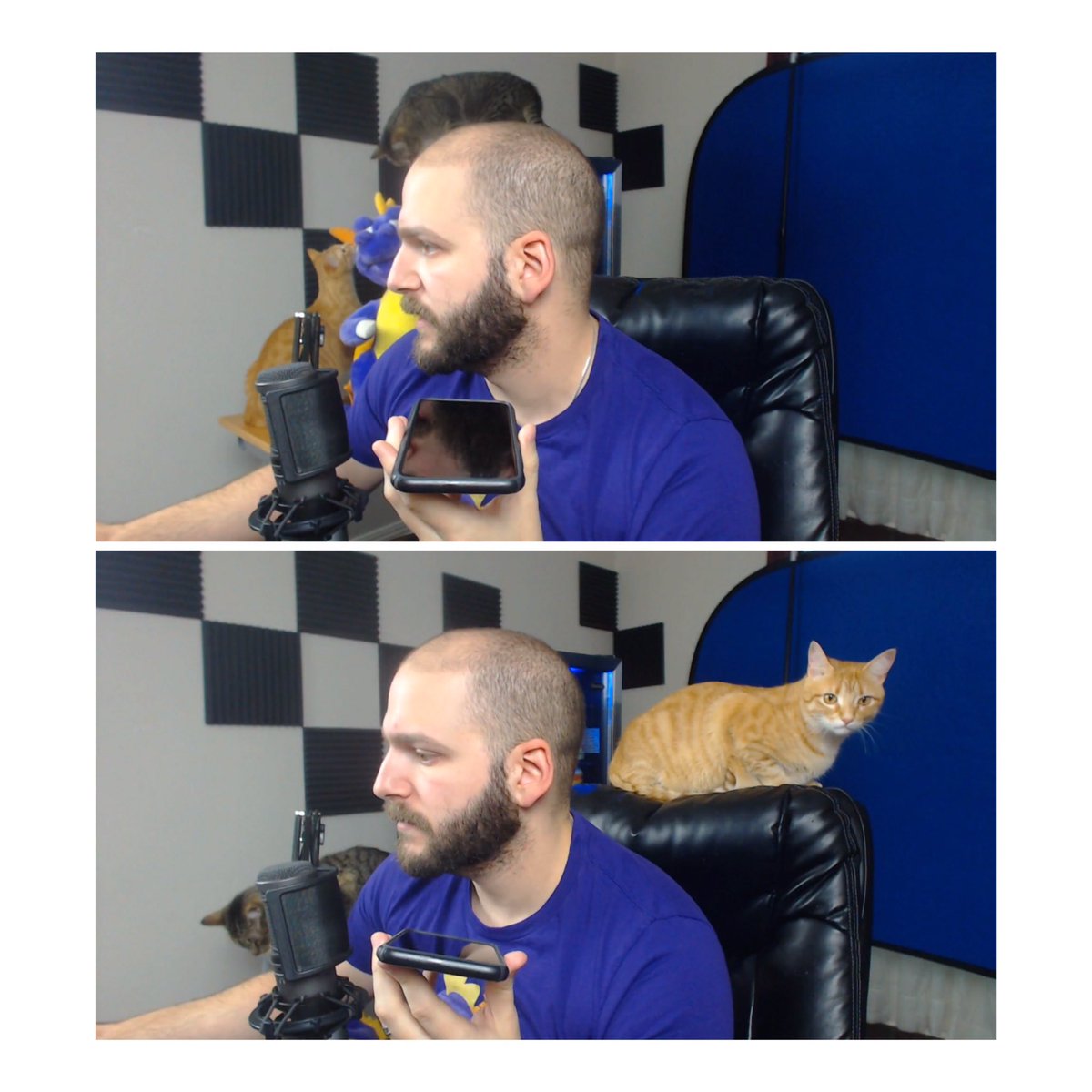 LauraxTomlinson's tweet photo. @JeremyNDooley @AchievementHunt @JeremyNDooley also when you had a cat on your head ππ they're so cute! β€οΈ #SpyroStream https://t.co/AY2NsVREZ4