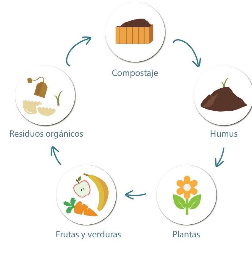 ¡Buen día compostador!🤩 ¿Alguna vez te preguntaste que entra y sale del #Compost? 🤔

¿Y vos,qué esperás para enredarte? Sumate, compostá, regenerá. 🙏

redcompostaje.org.ar 🐛

#RedCompostaje 🌱 #Compostaje #Composteras