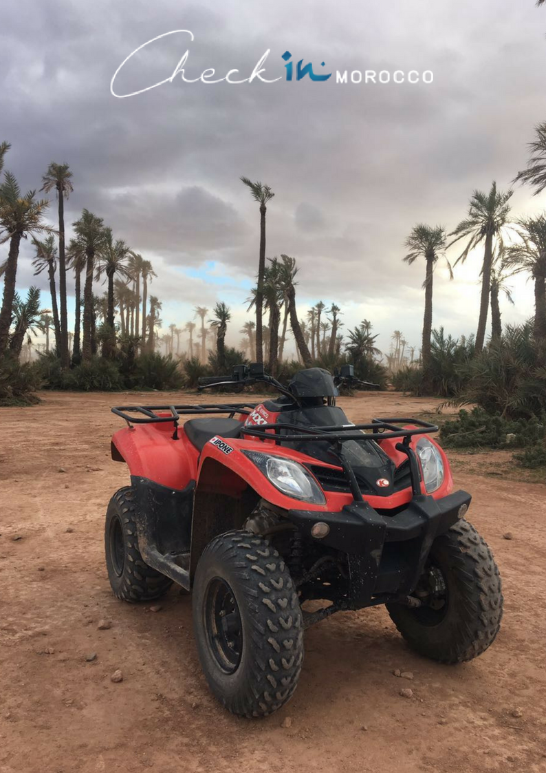 CheckInMorocco's tweet photo. Looking for adrenaline exciting activities in #Marrakech ?#CheckinMorocco has many awesome things to do including #Quadbike in #MarrakechPalmeraie, so let's have some fun ๐
#Quad #Palmeraie #Marrakechactivities #Daytrips
https://t.co/akGMvBKYot https://t.co/y6MFgEuleE
