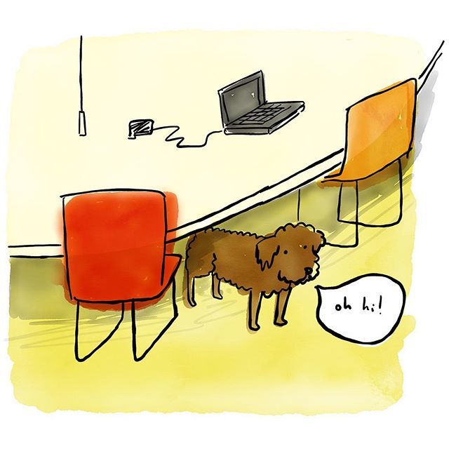 dogwatisaw's tweet photo. Curly boy having fun under the table - 3:03pm @secondhome_io https://t.co/wnmQ9YRW3J