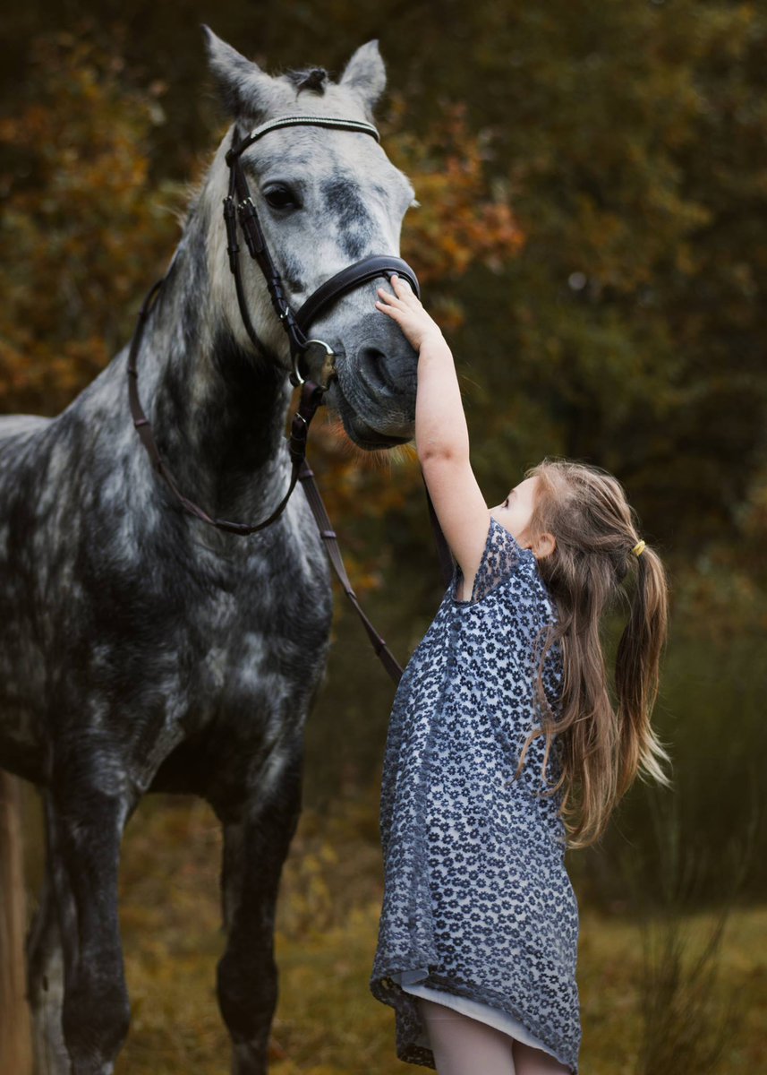 EquiMindShows's tweet photo. How exciting…An Equimind Adventure…Have your own with Equimind online competitions and training #EquiMind #Equine #Adventures #Competitions #Competing https://t.co/dLdIJhaTpQ