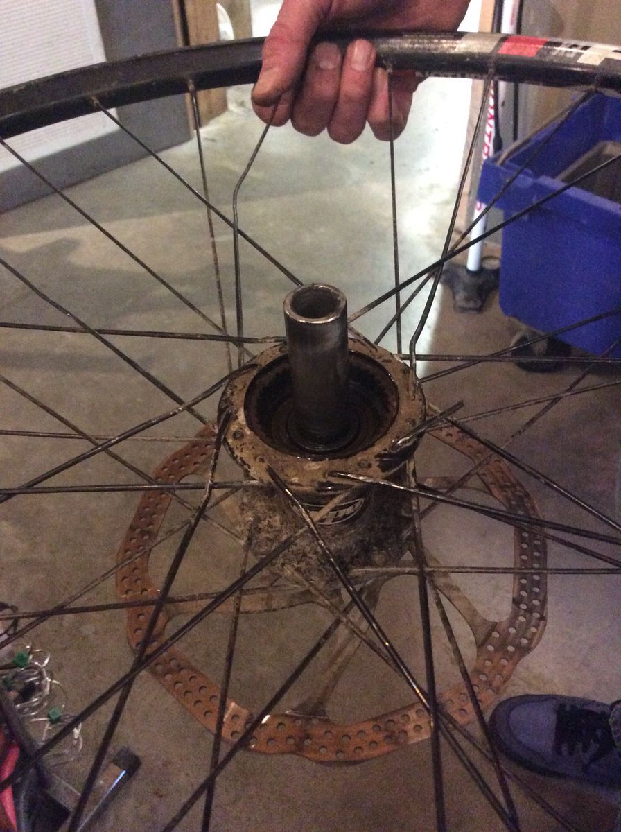 What happens to spokes when you're looking for gear zero. #saturdaybikefaults #spokeprotectorsareactuallyfunctionalnotjuststupidlooking