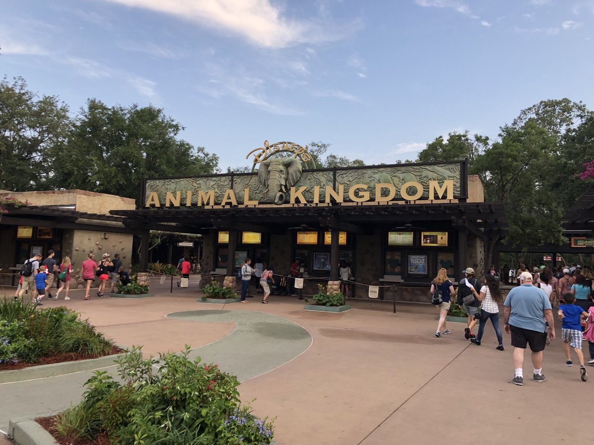 WDWCelebrations's tweet photo. We will be heading into park at 7:50 AM and will meet in front of Kilimanjaro Safaris to go into the queue at 8:05 AM! #TwoWildDecades https://t.co/FbHT3xcHRL