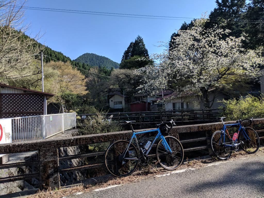 ChrisLabby's tweet photo. Climbed the same mountain pass we did two days ago. But this time we went up and over (and back) 40.9miles 6,136'. Also I saw a big lizard at this coffee stop https://t.co/obmXIKf9o2