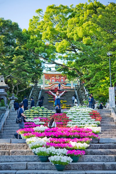 KurarKey's tweet photo. #日本 #山口 #防府市 #防府天満宮 #幸せます #幸せますウィーク #花 #花壇 #大石段 #花回廊 #花文字 #鉢植え #ペチュニア #オステオスペルマム #ビオラ #ベゴニア #Japan #Yamaguchi #Hofucity #Happy #flowers #flowerbeds #flowerletters #pottedplants #petunia #osteospermum #viola #begonia https://t.co/BQ5UW8XMKF