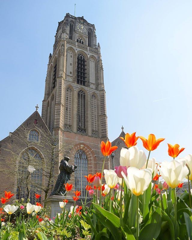 KURD_010's tweet photo. Kijk die Laurenskerk eens shinen in het zonnetje!🌷
.
Foto: @togetherintransit
#travelphotography #komieuitrotterdam #rotterdamstagram #rotterdammycity #havenloods #igersrotterdam #ig_netherlands #daily010 #roffa #laurenskerk #laurenskerkrotterdam #c… https://t.co/QcA5Gem2tr https://t.co/FiTX5W0uwm