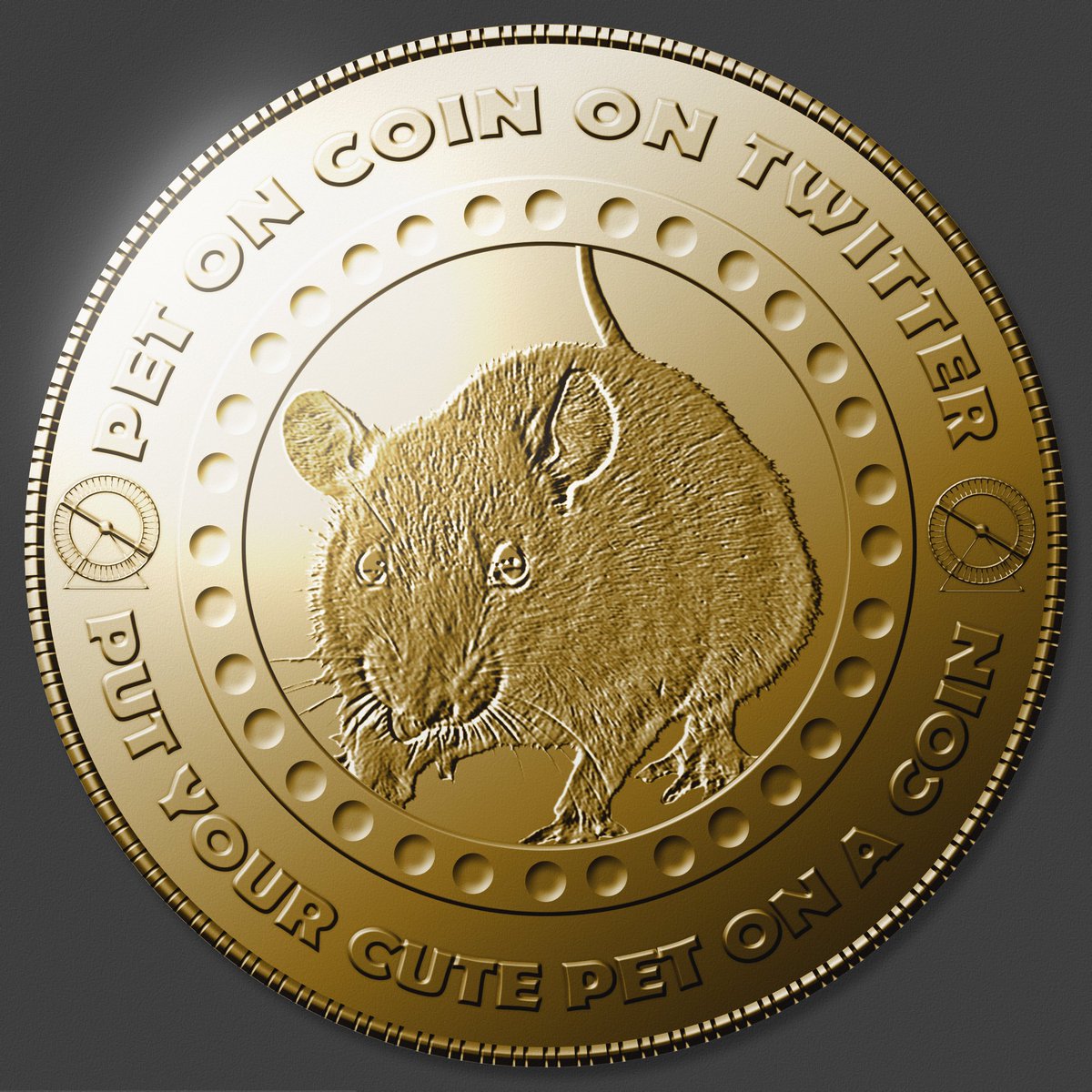 petonacoin's tweet photo. Put your beloved pet on a coin illustration for only 18,95$! Feel free to contact us anytime if you wish to order! 🙂🐱🐶🐹🐰🐷 https://t.co/1HN17DFHFz