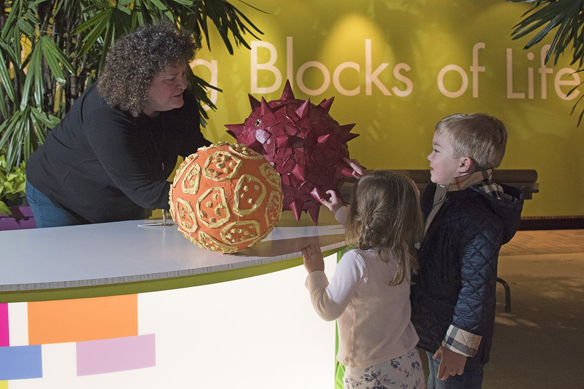 chicagobotanic's tweet photo. Joining us for Unearth Science festival this weekend? Find our schedule of free classes and sessions at: https://t.co/A9wwC2gPNP
ALSO, don’t miss two amazing plants in the greenhouses: our jade vine is in bloom, and #CBGSpike the #titanarum is on display! #CBGUnearth https://t.co/wRCeRH5bhP