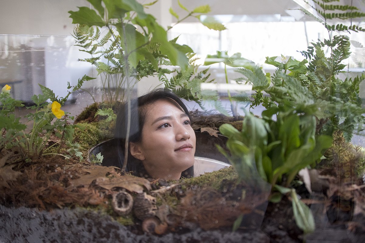 chicagobotanic's tweet photo. Joining us for Unearth Science festival this weekend? Find our schedule of free classes and sessions at: https://t.co/A9wwC2gPNP
ALSO, don’t miss two amazing plants in the greenhouses: our jade vine is in bloom, and #CBGSpike the #titanarum is on display! #CBGUnearth https://t.co/wRCeRH5bhP