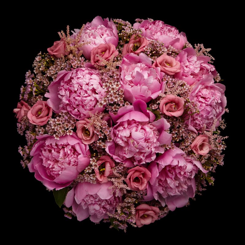 neillstrain's tweet photo. Peony season has started! Pop into our Belgravia boutique or our concession at@Harrods today and you can enjoy the first Peonies of 2018. #luxury #flowers #belgravia #boutique https://t.co/x4iNf3XSJT
