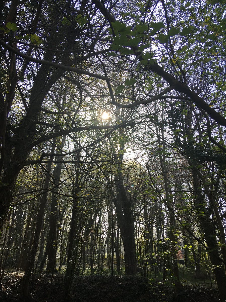 KatieRichards5's tweet photo. Epic weather for our first @bathskyparkrun Thanks for the warm welcome &amp; amazing organisation, we’ll be back. #runningformentalhealth #plodderandproud #beststarttotheweekend https://t.co/sk8bCTBOZc