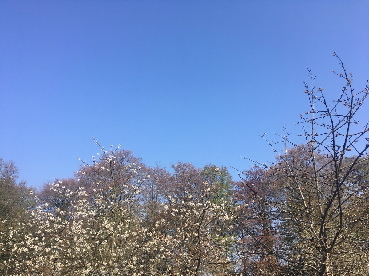 KatieRichards5's tweet photo. Epic weather for our first @bathskyparkrun Thanks for the warm welcome &amp; amazing organisation, we’ll be back. #runningformentalhealth #plodderandproud #beststarttotheweekend https://t.co/sk8bCTBOZc