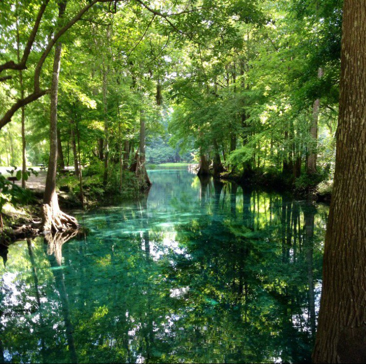 FLStateParks's tweet photo. Join the Friends of Ichetucknee Springs State Park for volunteer spring park clean-up day, today 9 a.m. - noon. Spend the day outdoors giving back to your community, helping clean up litter &amp; debris. Hope to see you there! https://t.co/9eUmbxrPmt #MySprings #EarthDay 🌍♻️ https://t.co/96tgAQn5ry