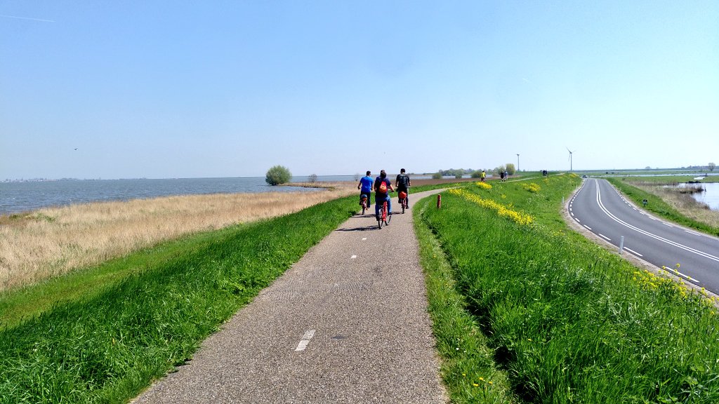miguelfito's tweet photo. 🚲 🇳🇱 👌🏼 https://t.co/zQSUnh5S5D