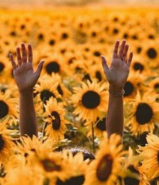 JoyFull_y's tweet photo. #weeeeeekend 🌻🌻🌻 https://t.co/Wf6S5FW9yJ