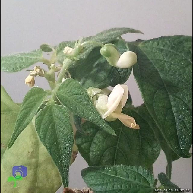 conceptiasis's tweet image. ift.tt/2HAD9ca