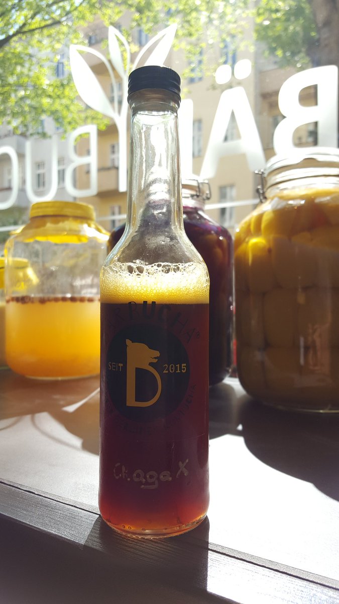 Baerbucha's tweet photo. Chaga day today!
#bärbuchakombucha #kombucha #ersterberlinerkombucha #kombuchaberlin #berlinkombucha #premiumkombucha #chagakombucha https://t.co/0ImMLFX286