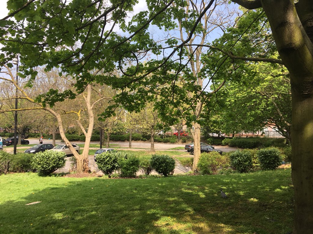 RobinHawkes1's tweet photo. .@hackneycouncil planning app for @save_britannia ignores loss of green spaces in its grounds because they’re not “designated open space”.Over 60 mature trees to be lost as well as spaces used by many Britannia users-to be built over in massive over development. @shoreditchpark https://t.co/LRh5rs09Sf